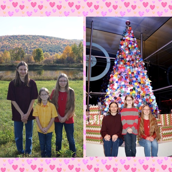 Meet your Posher, Barbara - Picture 6 of 16